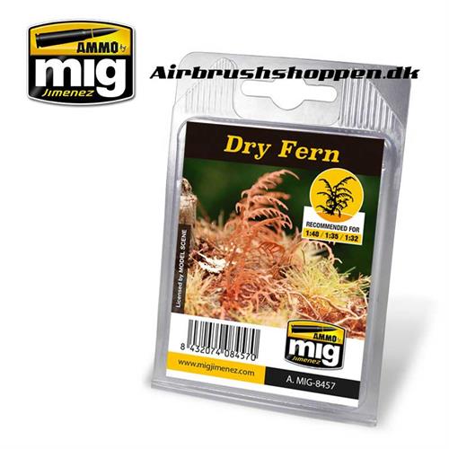 A.MIG 8457 DRY FERN - vissen bregne laserskåret plante til diorama